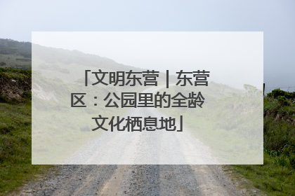 文明东营｜东营区：公园里的全龄文化栖息地