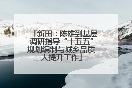 新田：陈雄到基层调研指导“十五五”规划编制与城乡品质大提升工作