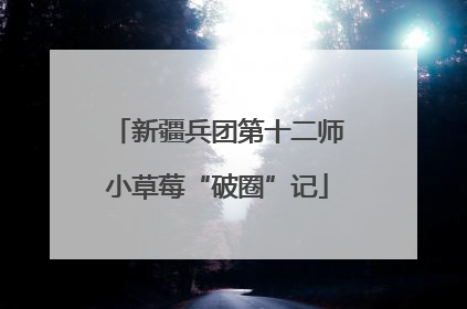 新疆兵团第十二师小草莓“破圈”记