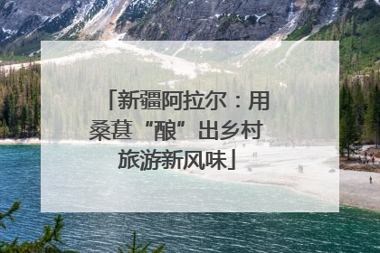 新疆阿拉尔：用桑葚“酿”出乡村旅游新风味