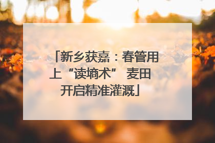 新乡获嘉：春管用上“读墒术” 麦田开启精准灌溉