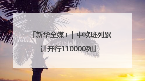 新华全媒+｜中欧班列累计开行110000列