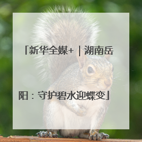 新华全媒+｜湖南岳阳：守护碧水迎蝶变