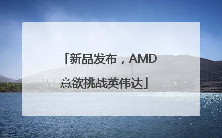 新品发布，AMD意欲挑战英伟达