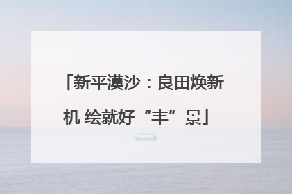 新平漠沙：良田焕新机 绘就好“丰”景