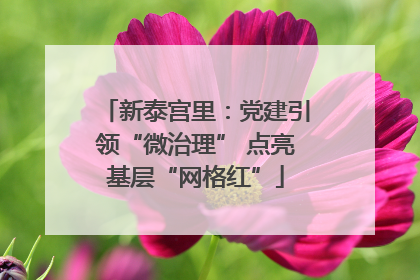 新泰宫里：党建引领“微治理” 点亮基层“网格红”