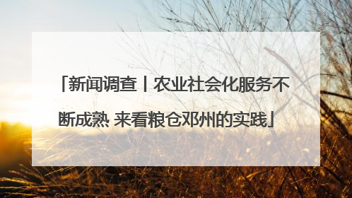 新闻调查丨农业社会化服务不断成熟 来看粮仓邓州的实践