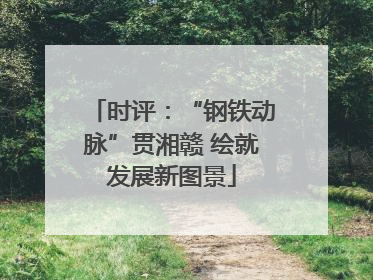 时评：“钢铁动脉”贯湘赣 绘就发展新图景