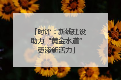 时评：新线建设助力“黄金水道”更添新活力