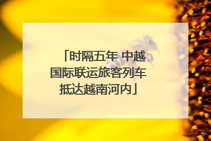 时隔五年 中越国际联运旅客列车抵达越南河内