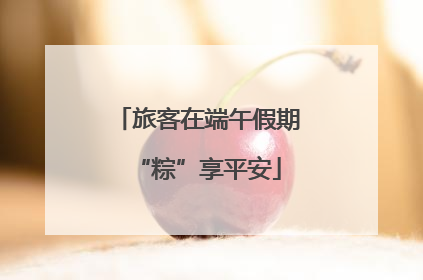 旅客在端午假期“粽”享平安