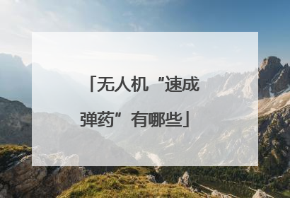 无人机“速成弹药”有哪些