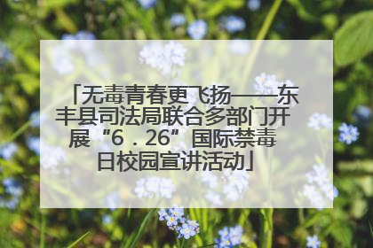 无毒青春更飞扬——东丰县司法局联合多部门开展“6．26”国际禁毒日校园宣讲活动