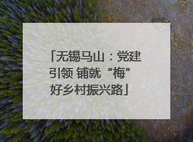 无锡马山：党建引领 铺就“梅”好乡村振兴路