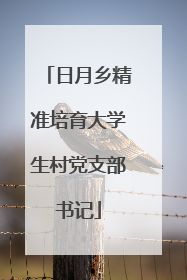 日月乡精准培育大学生村党支部书记