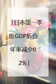 日本第一季度GDP折合年率减少0.2%