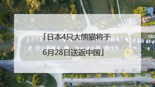 日本4只大熊猫将于6月28日送返中国