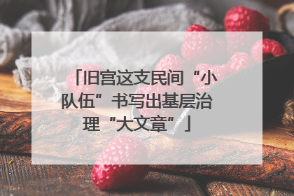 旧宫这支民间“小队伍”书写出基层治理“大文章”