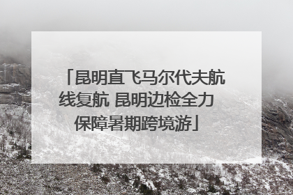 昆明直飞马尔代夫航线复航 昆明边检全力保障暑期跨境游