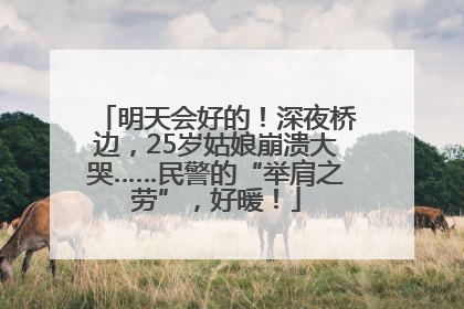 明天会好的！深夜桥边，25岁姑娘崩溃大哭……民警的“举肩之劳”，好暖！