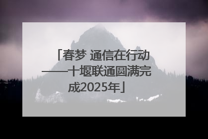 春梦 通信在行动——十堰联通圆满完成2025年