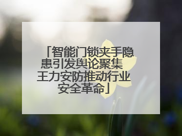 智能门锁夹手隐患引发舆论聚集 王力安防推动行业安全革命