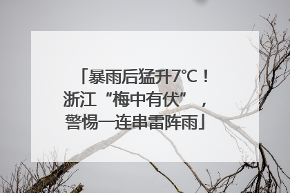 暴雨后猛升7℃！浙江“梅中有伏”，警惕一连串雷阵雨