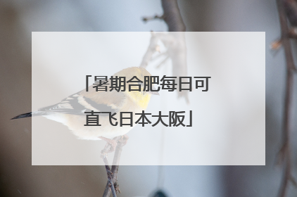 暑期合肥每日可直飞日本大阪