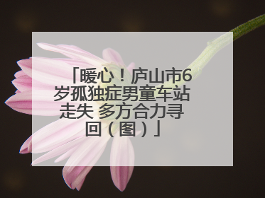 暖心！庐山市6岁孤独症男童车站走失 多方合力寻回（图）