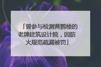 曾参与检测黄鹤楼的老牌建筑设计院，因防火规范疏漏被罚