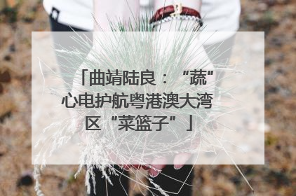 曲靖陆良：“蔬”心电护航粤港澳大湾区“菜篮子”