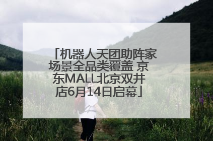 机器人天团助阵家场景全品类覆盖 京东MALL北京双井店6月14日启幕