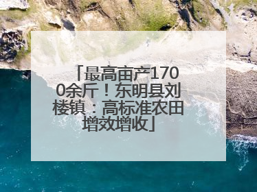 最高亩产1700余斤！东明县刘楼镇：高标准农田增效增收
