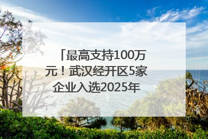 最高支持100万元！武汉经开区5家企业入选2025年度武汉市重点研发计划拟立项项目名单