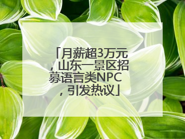 月薪超3万元，山东一景区招募语言类NPC，引发热议