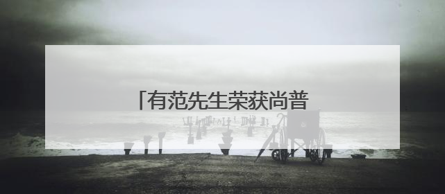 有范先生荣获尚普咨询集团权威证明