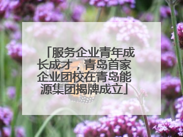 服务企业青年成长成才，青岛首家企业团校在青岛能源集团揭牌成立