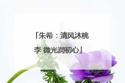 朱希：清风沐桃李 微光润初心