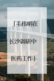 毛伟明在长沙调研中医药工作