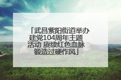 武昌紫阳街道举办建党104周年主题活动 赓续红色血脉锻造过硬作风