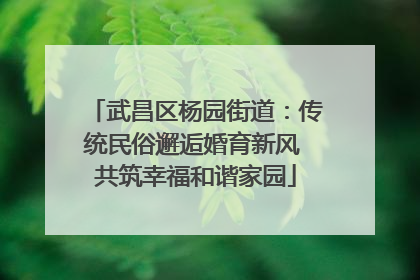 武昌区杨园街道：传统民俗邂逅婚育新风 共筑幸福和谐家园