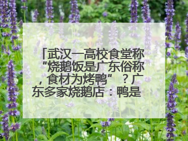 武汉一高校食堂称“烧鹅饭是广东俗称，食材为烤鸭”？广东多家烧鹅店：鸭是鸭鹅是鹅