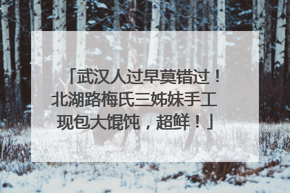 武汉人过早莫错过！北湖路梅氏三姊妹手工现包大馄饨，超鲜！