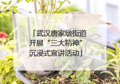 武汉唐家墩街道开展“三大精神”沉浸式宣讲活动