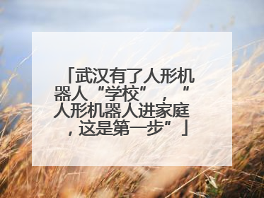 武汉有了人形机器人“学校”，“人形机器人进家庭，这是第一步”