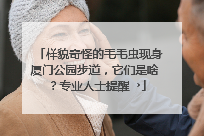 样貌奇怪的毛毛虫现身厦门公园步道，它们是啥？专业人士提醒→