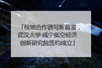 校地合作谱写新篇章，武汉大学·咸宁低空经济创新研究院签约成立