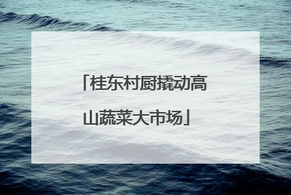 桂东村厨撬动高山蔬菜大市场