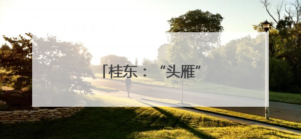 桂东：“头雁”王镇的蓝图美景