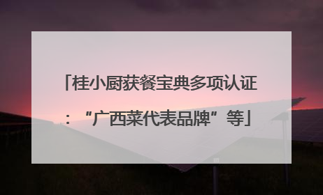 桂小厨获餐宝典多项认证：“广西菜代表品牌”等
